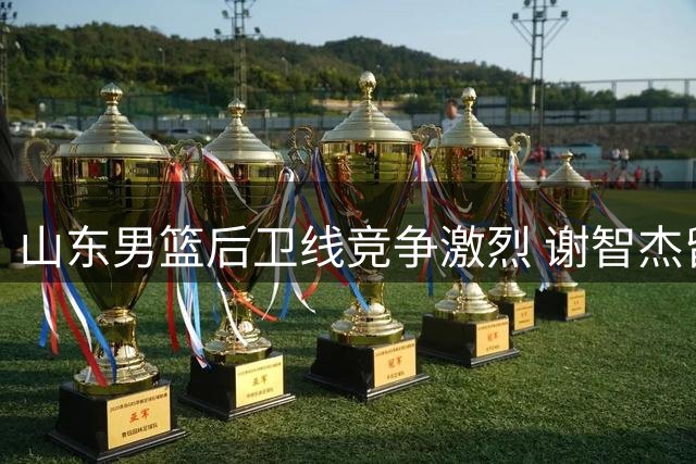 山东男篮后卫线竞争激烈 谢智杰留队面临挑战