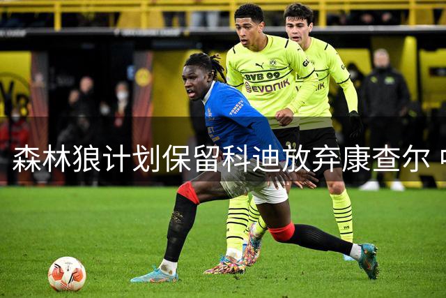 森林狼计划保留科迪放弃康查尔 中产特例锁定库明加