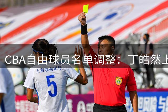 CBA自由球员名单调整：丁皓然上榜 苏若禹离队